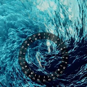 Meet your Posher, Carol